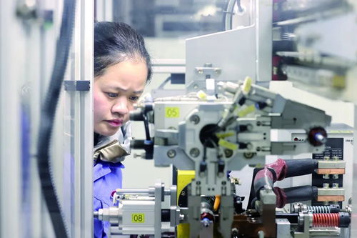 開門紅 諸暨企業(yè)吹響沖鋒號 軟件開發(fā)行業(yè)迎來新機遇