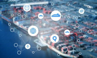 高考報(bào)考 信息技術(shù)專業(yè)的抉擇——選大學(xué)還是選城市